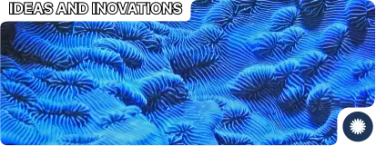 header image inovation