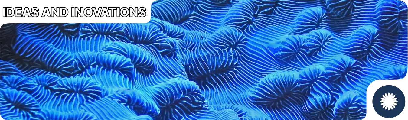 header image inovation